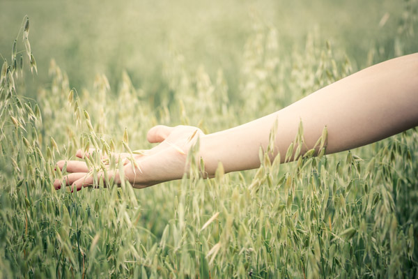 Tate & Lyle carries out strategic sale of oats business to Lantmännen